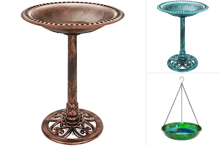 Detailed view of Best Bird Baths