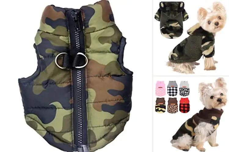 Detailed view of Best Camouflage Dog Coats For Yorkies