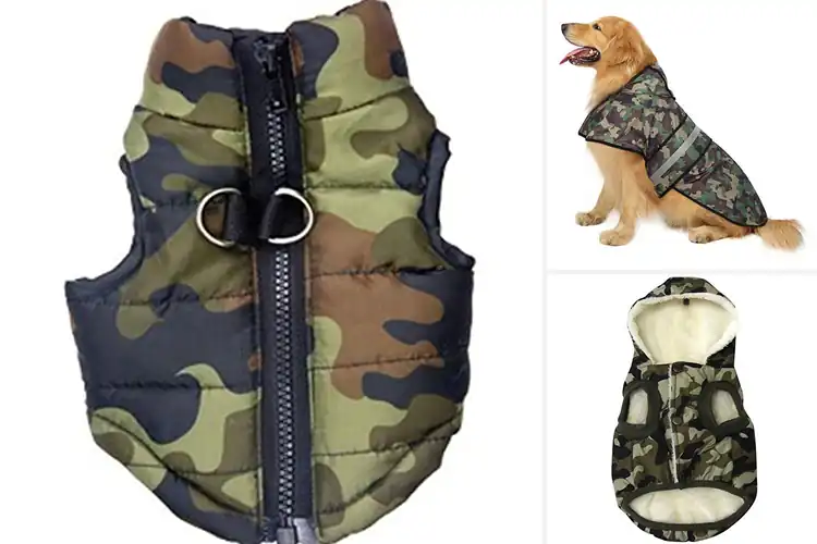 Detailed view of Best Camouflage Dog Coats for Style & All‑Weather Comfort