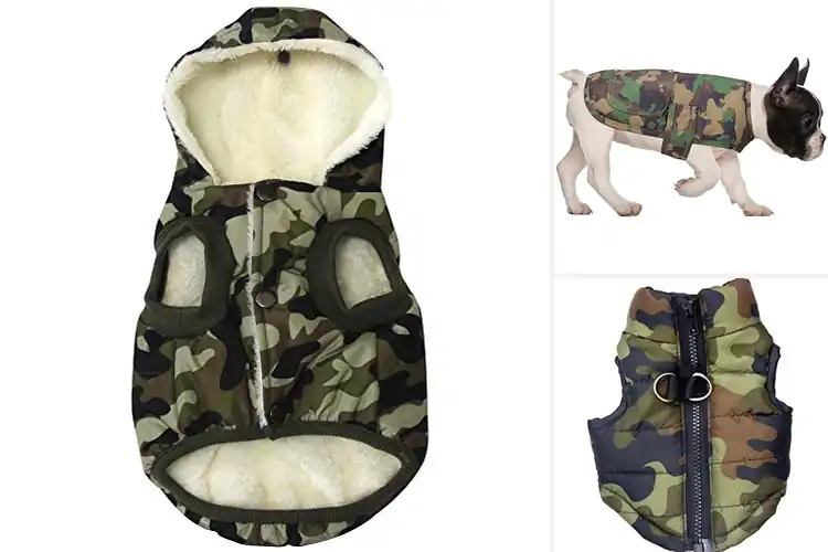Detailed view of Best Camouflage Dog Jackets: Stylish Comfort for Your Pup