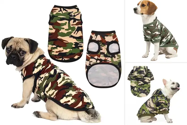 Detailed view of Best Camouflage Dog Outfits