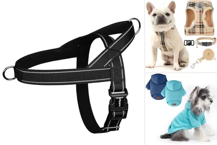 Detailed view of Best Chest Size Guide For Small Dogs