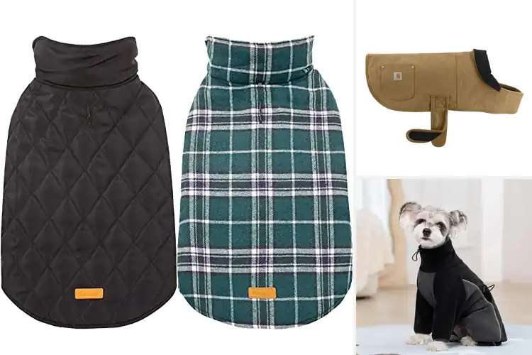 Detailed view of Best Cold Weather Dog Coats