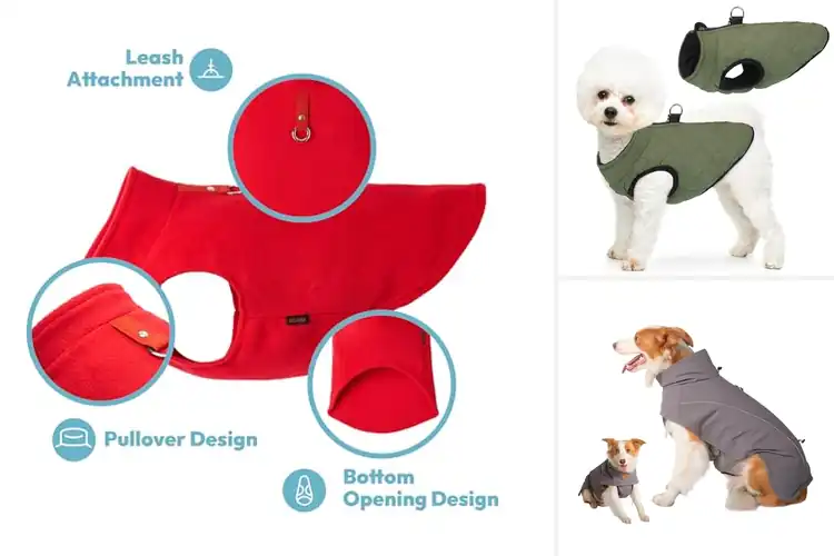 Detailed view of Best Cold Weather Dog Vest: 10 Cozy Picks for Your Pup