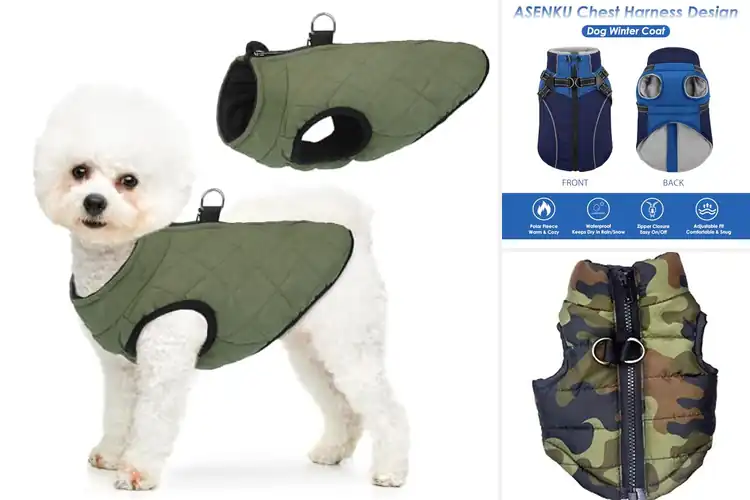 Detailed view of Best Cold Weather Dog Vests