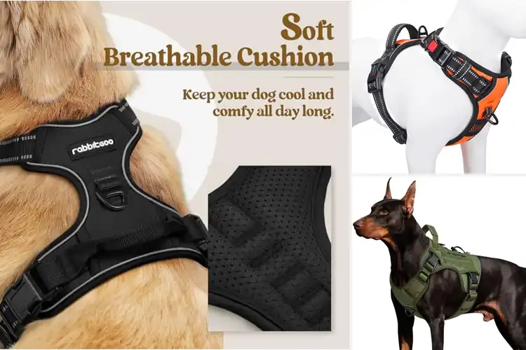 Detailed view of Best Dog Vests: Top 10 Picks for Comfort & Safety on Walks