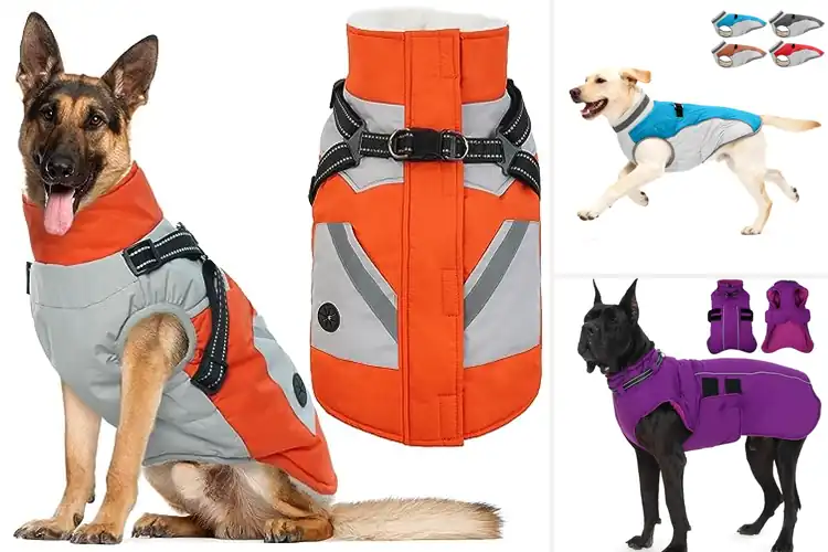Detailed view of Best Durable Winter Dog Jacket