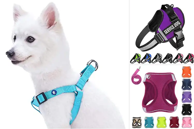 Detailed view of Best Easy Care Dog Vest Small