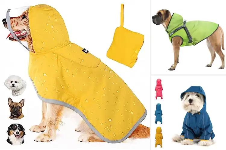 Detailed view of Best Easy Care Waterproof Dog Jacket For Small Dogs