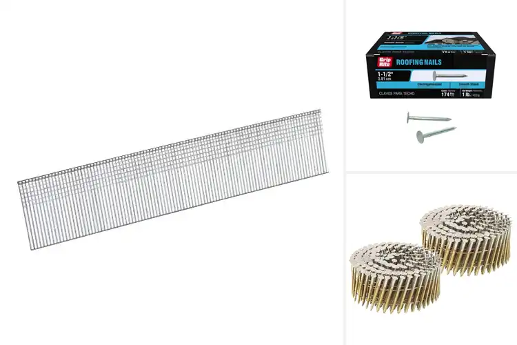 Detailed view of Best Electro Galvanized Nails