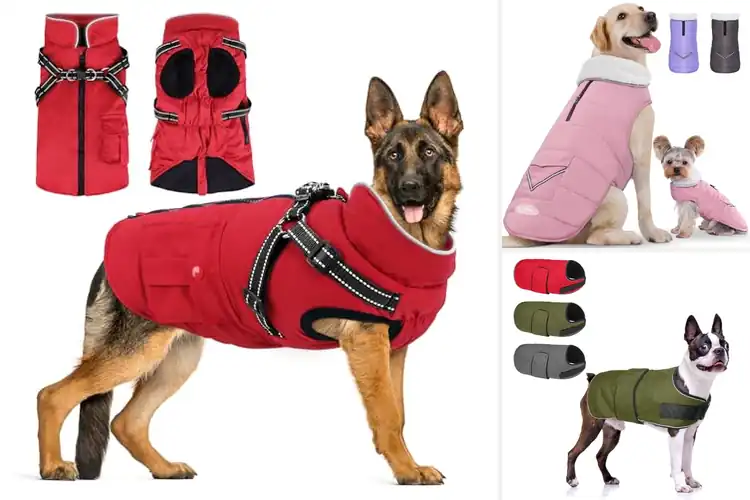 Detailed view of Best Fabric Quality Dog Coat For Winter