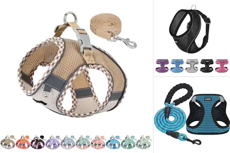 Detailed view of Best Fit For Small Dogs Vest