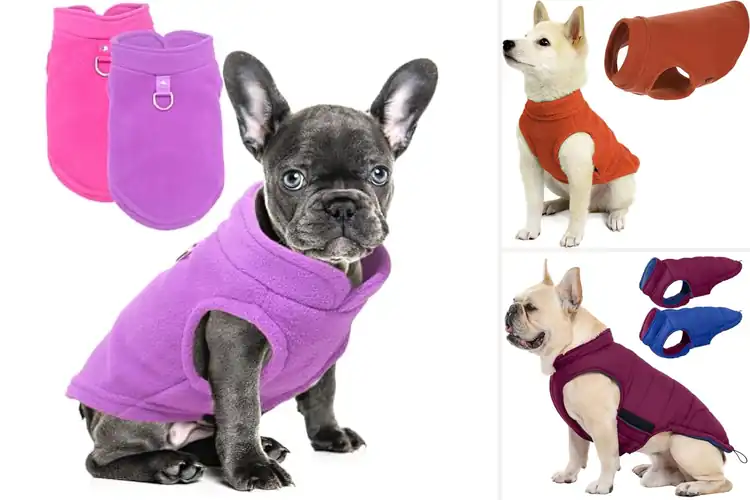 Detailed view of Best Fit For Small Dogs Winter Vest