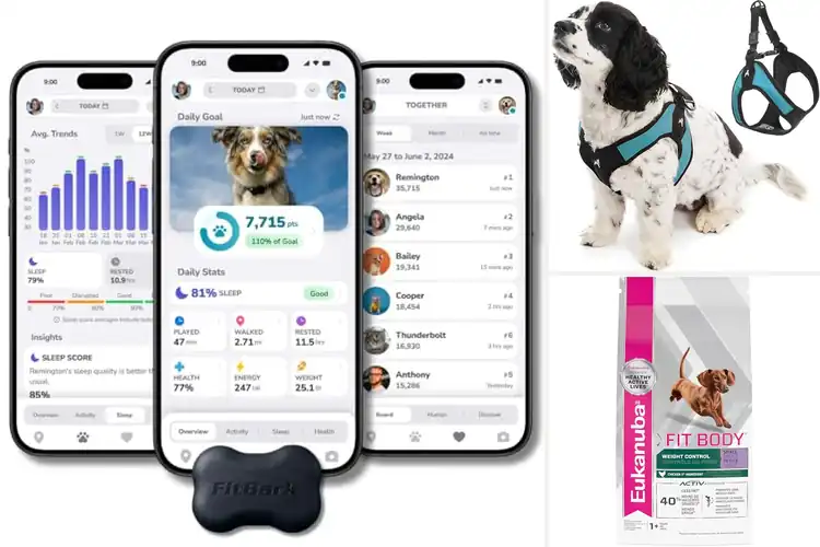 Detailed view of Best Fit Small Dogs
