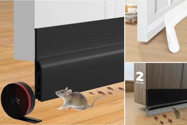 Detailed view of Best Floor-Friendly Door Sweeps