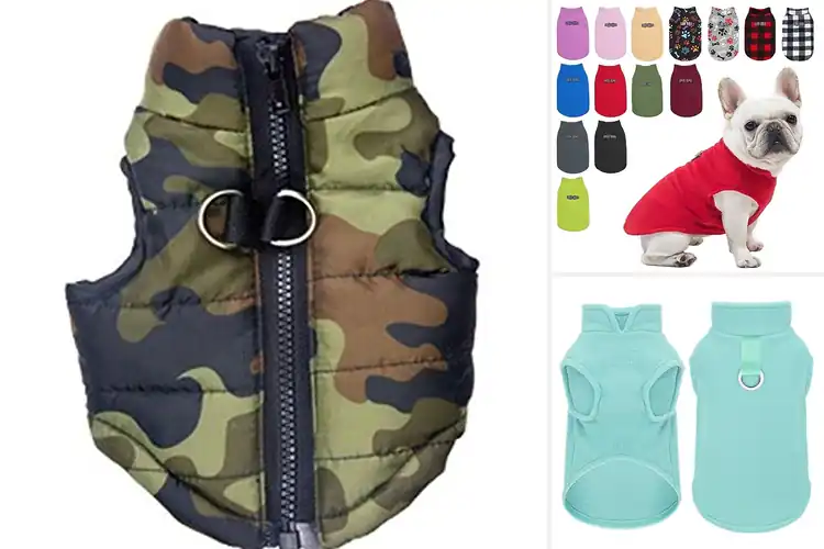 Detailed view of Best For Small Dogs Winter Vest