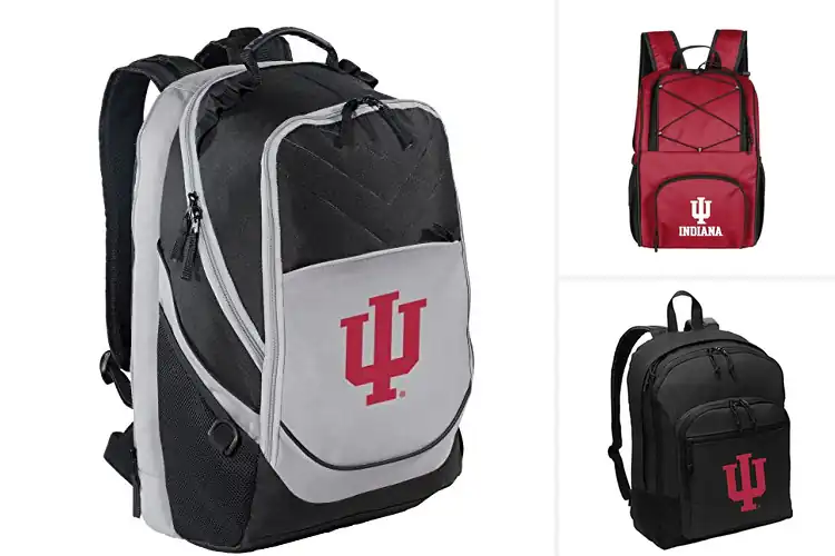 Detailed view of Best Indiana University Hoosiers Backpacks