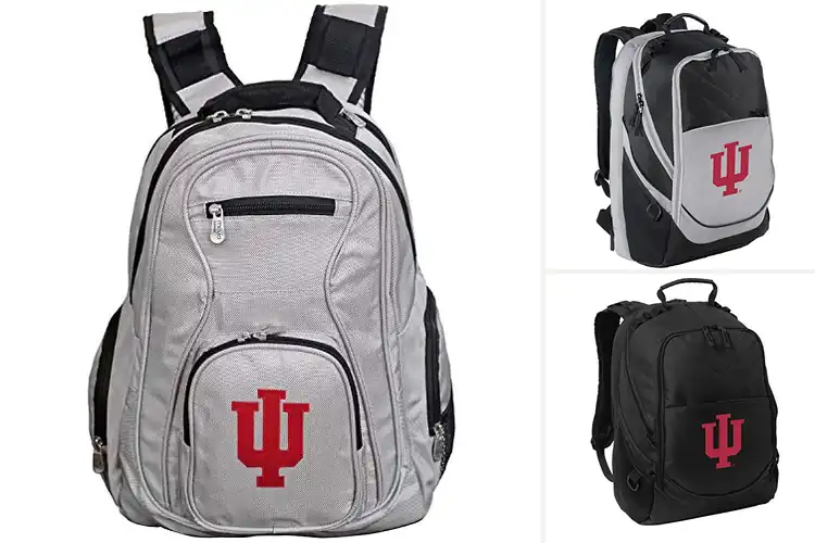 Detailed view of Best Indiana University Hoosiers Laptop Backpacks