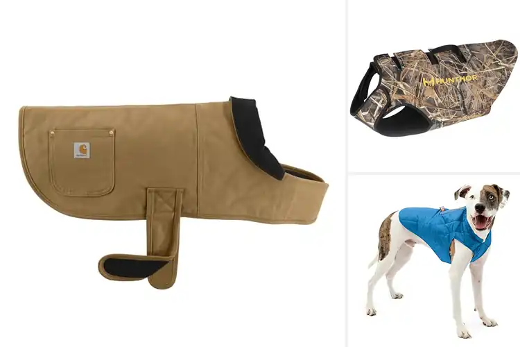 Detailed view of Best Insulated Dog Vest: Top 10 Picks for Warmth & Safety