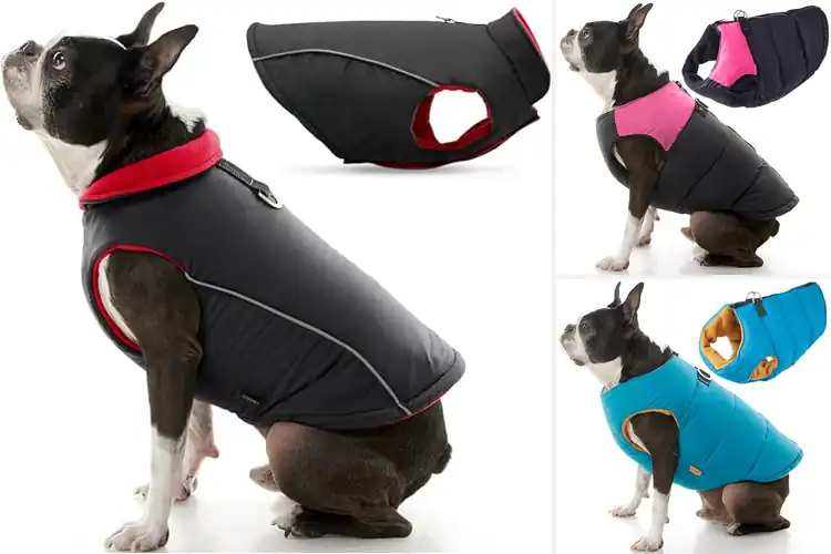 Detailed view of Best Insulated Small Dog Vest For Warmth