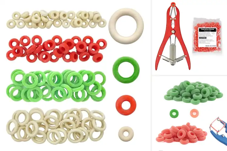 Detailed view of Best Latex Banding Rings