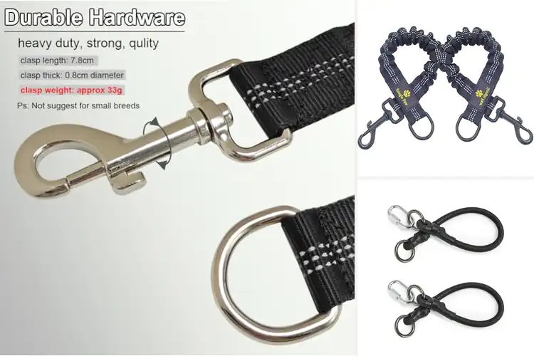Detailed view of Best Leash Attachments for Safer, Smoother Walks