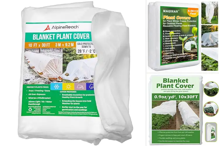 Detailed view of Best Plant Covers For Winter Protection