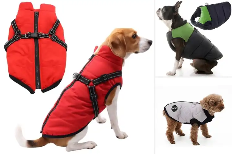 Detailed view of Best Quality Water Resistant Coat For Small Dogs
