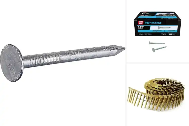 Detailed view of Best Roofing Nails