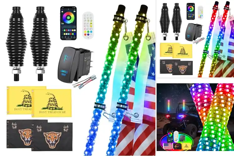 Detailed view of Best RZR LED Whips