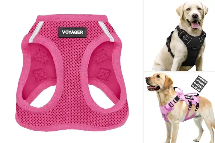 Detailed view of Best Secure Closure Dog Vest