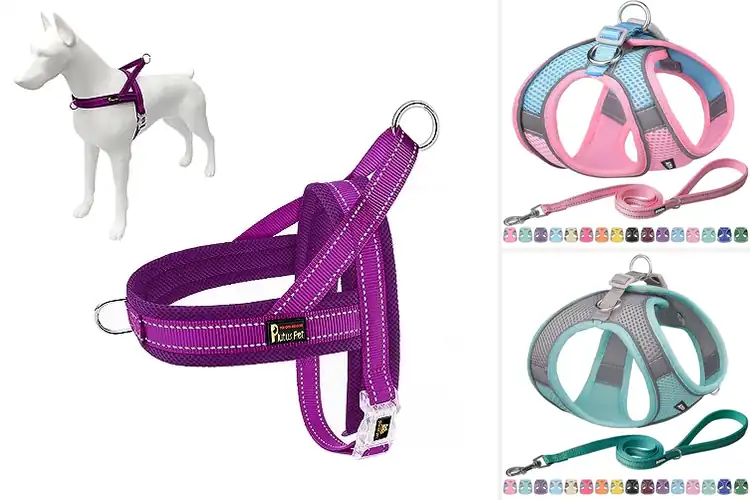 Detailed view of Best Secure Fit Small Dog Vest To Prevent Leash Misuse