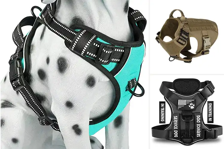 Detailed view of Best Size Chart For Small Dog Vests Chest And Back