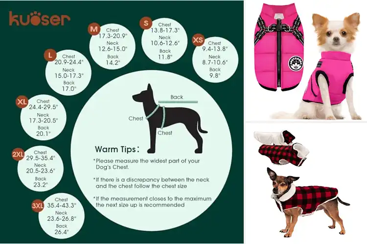 Detailed view of Best Small Dog Coats