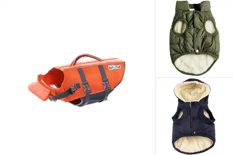 Detailed view of Best Small Dog Jackets