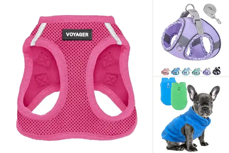 Detailed view of Best Small Dog Vests