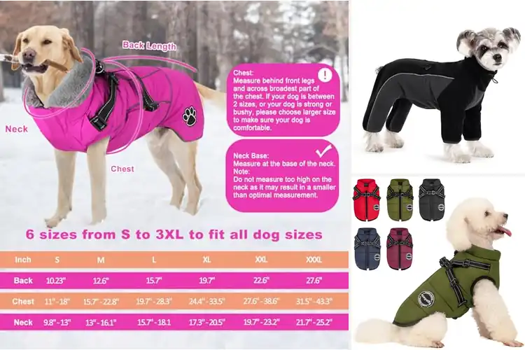 Detailed view of Best Small Dog Winter Coats: 10 Cozy Picks for Your Pup