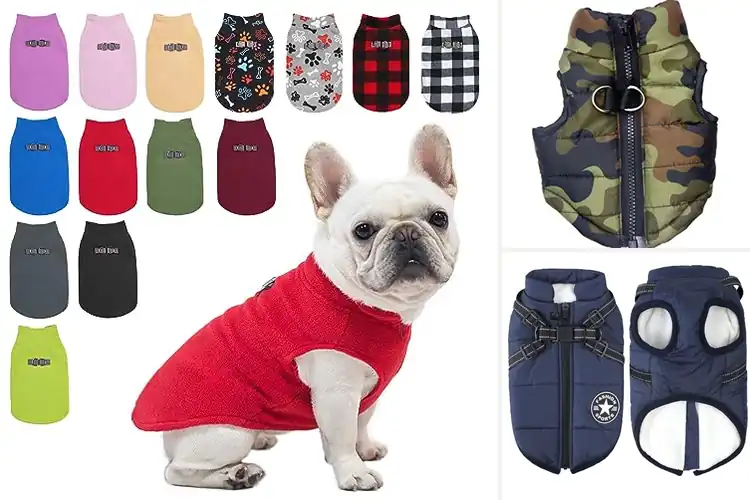 Detailed view of Best Small Dog Winter Vests: 10 Cozy Picks for Cold Weather