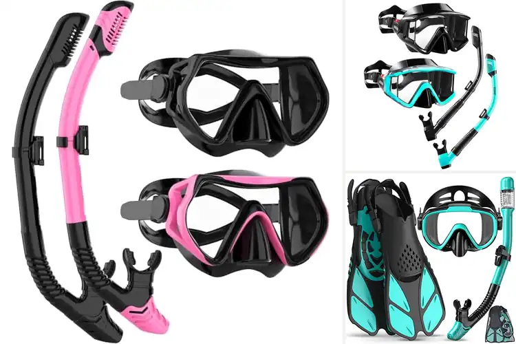 Detailed view of Best Snorkel Equipment