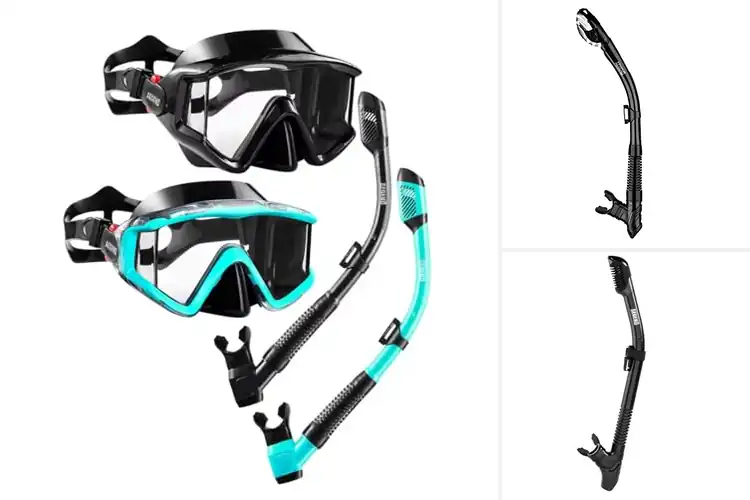 Detailed view of Best Snorkelers