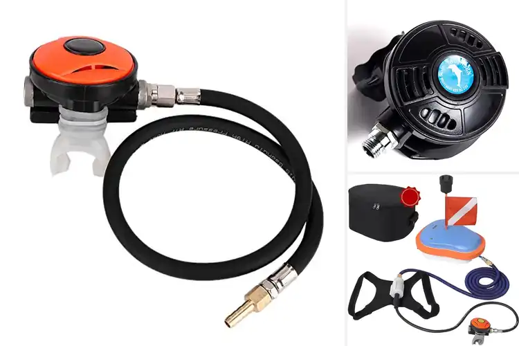 Detailed view of Best Snorkeling Regulators