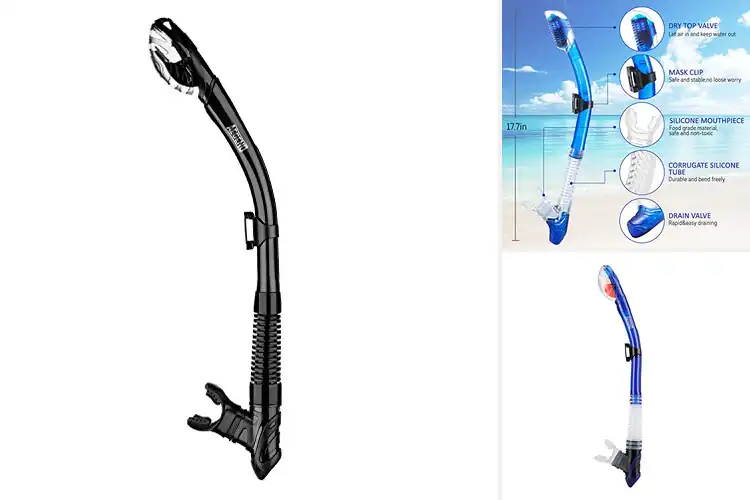 Detailed view of Best Snorkeling Tubes