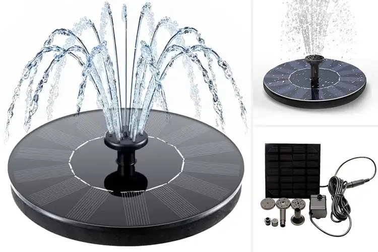 Detailed view of Best Solar Water Pumps
