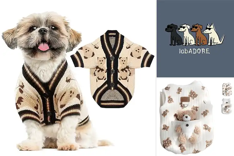 Detailed view of Best Teddy Dog Apparel for Cozy, Cute Style