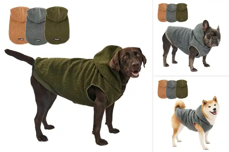 Detailed view of Best Teddy Dog Coats: Cozy Styles Your Pup Will Love