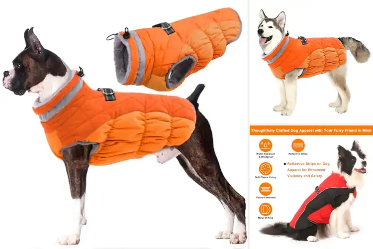 Detailed view of Best Warm Dog Coats