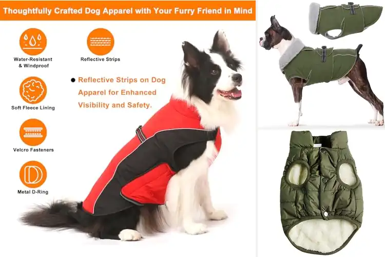 Detailed view of Best Warm Dog Jackets: Keep Your Pup Cozy & Stylish Outdoors