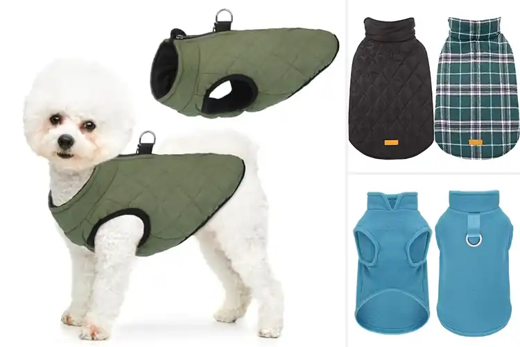 Detailed view of Best Warm Dog Vests: Cozy Picks for Chilly Days