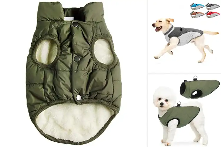 Detailed view of Best Warm Winter Dog Vest