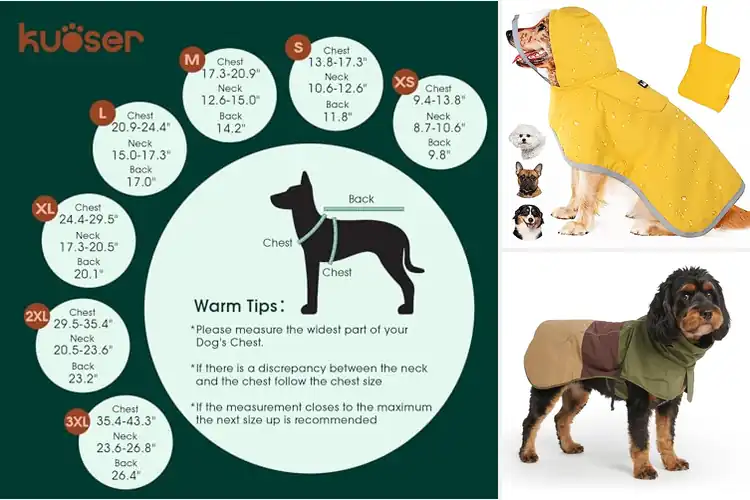 Detailed view of Best Waterproof Dog Coats: Warm & Dry Adventures